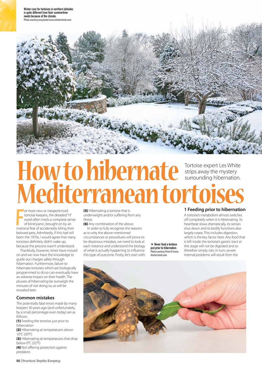 Practical Reptile Keeping Preview Pages