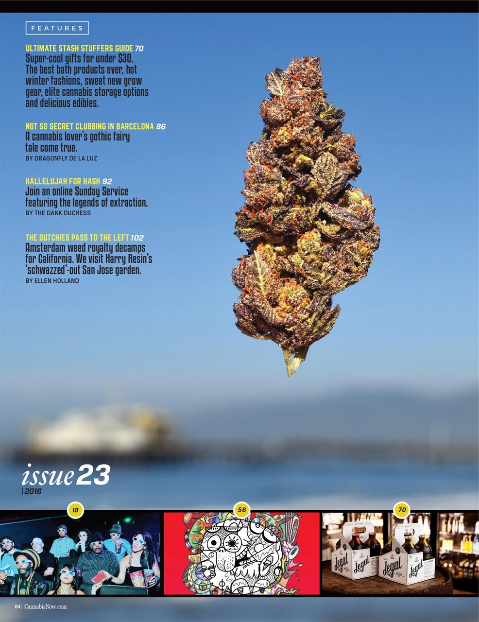 Cannabis Now Preview Pages