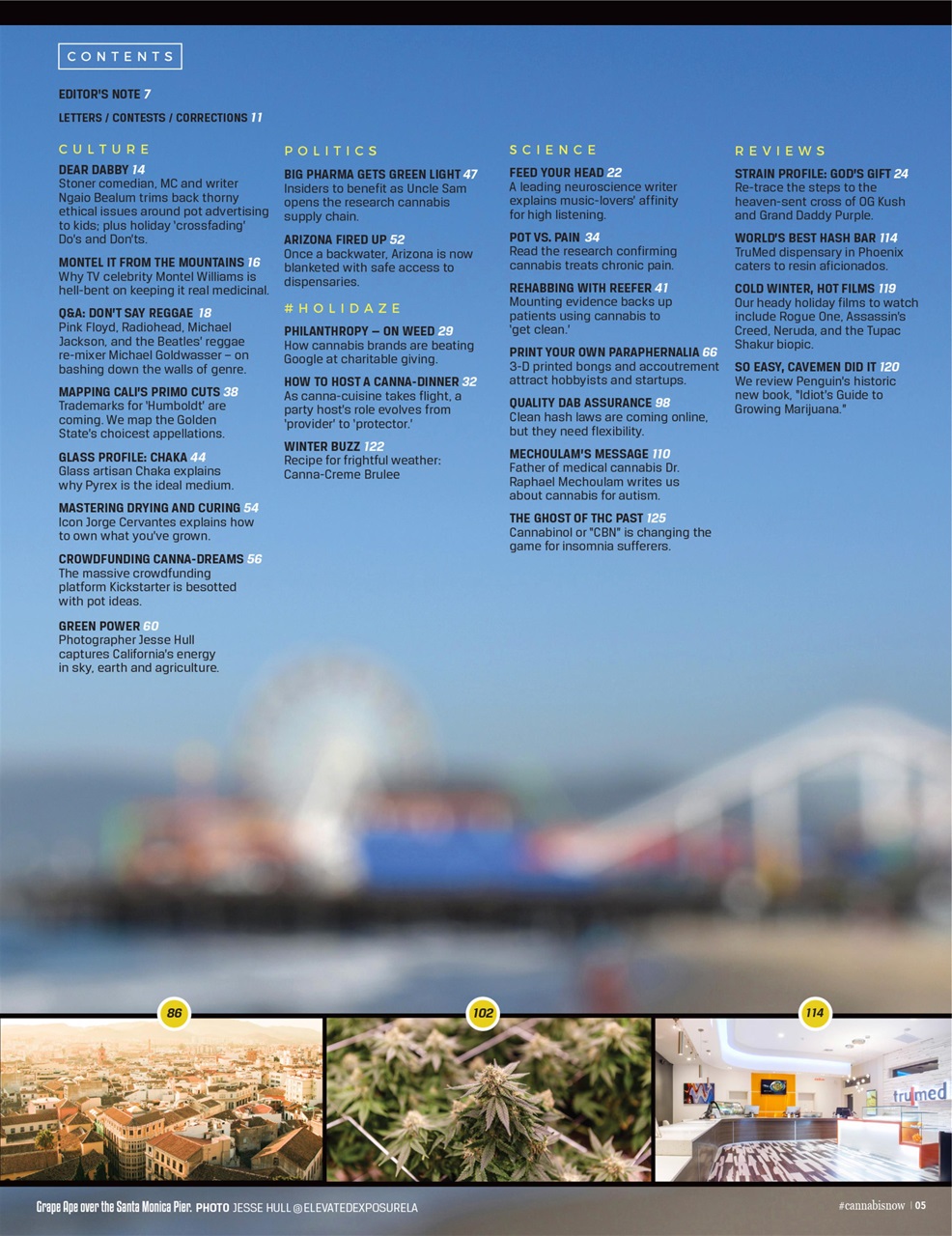 Cannabis Now Preview Pages