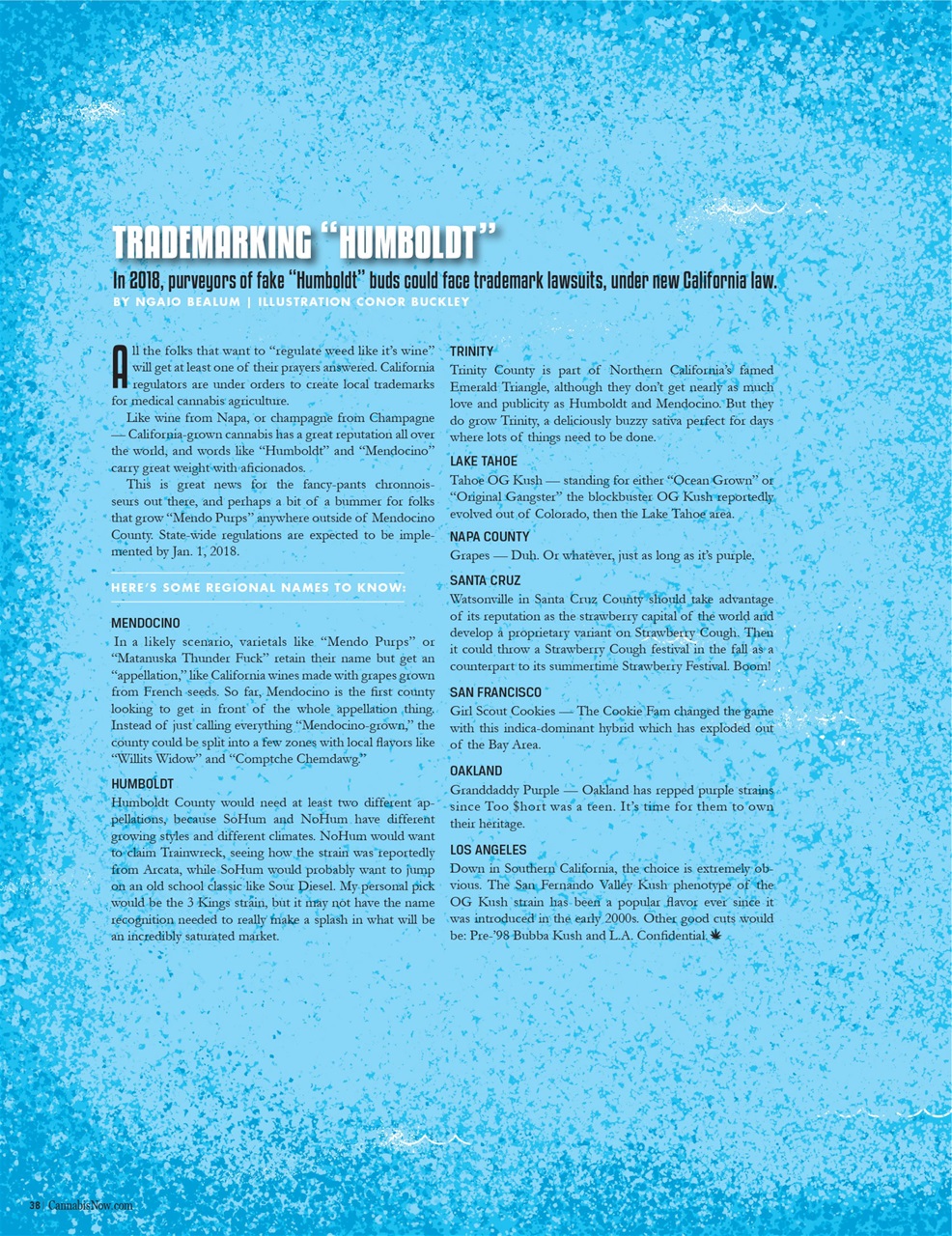 Cannabis Now Preview Pages