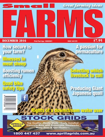 Small Farms issue Dec-16