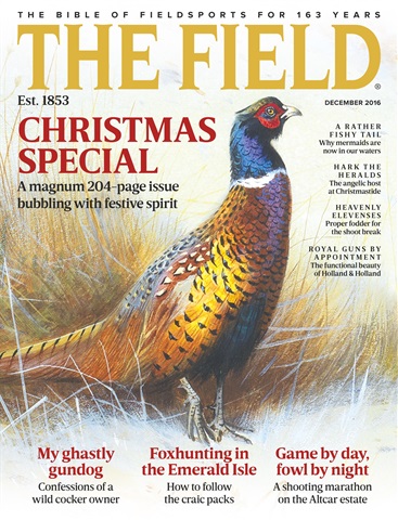 The Field issue December 2016