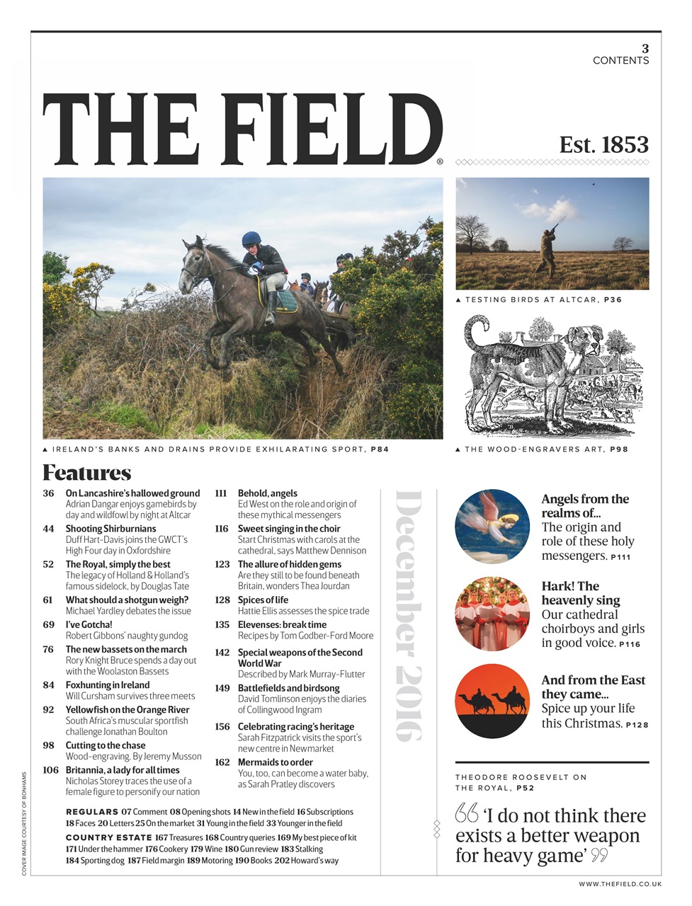 The Field Preview Pages