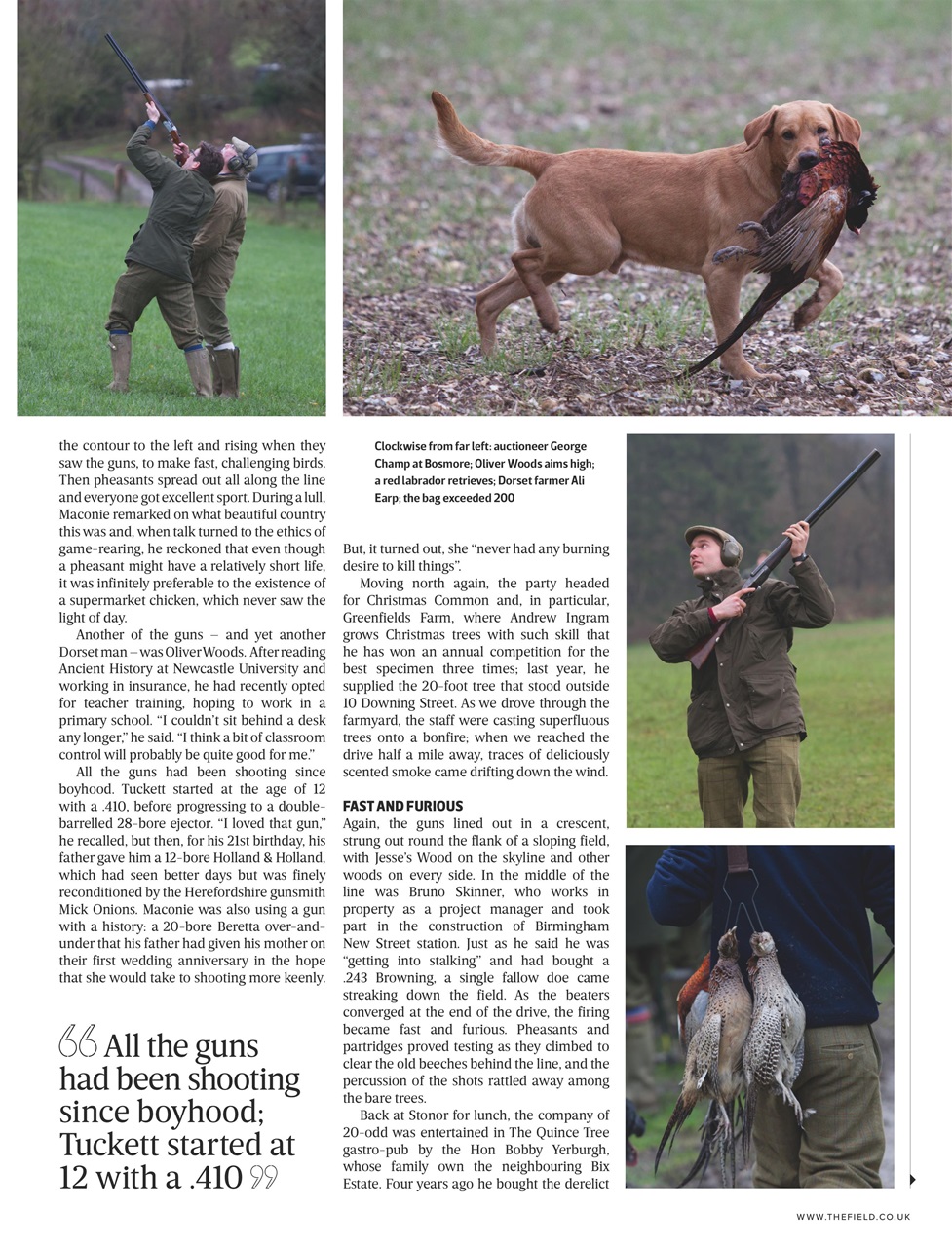 The Field Preview Pages