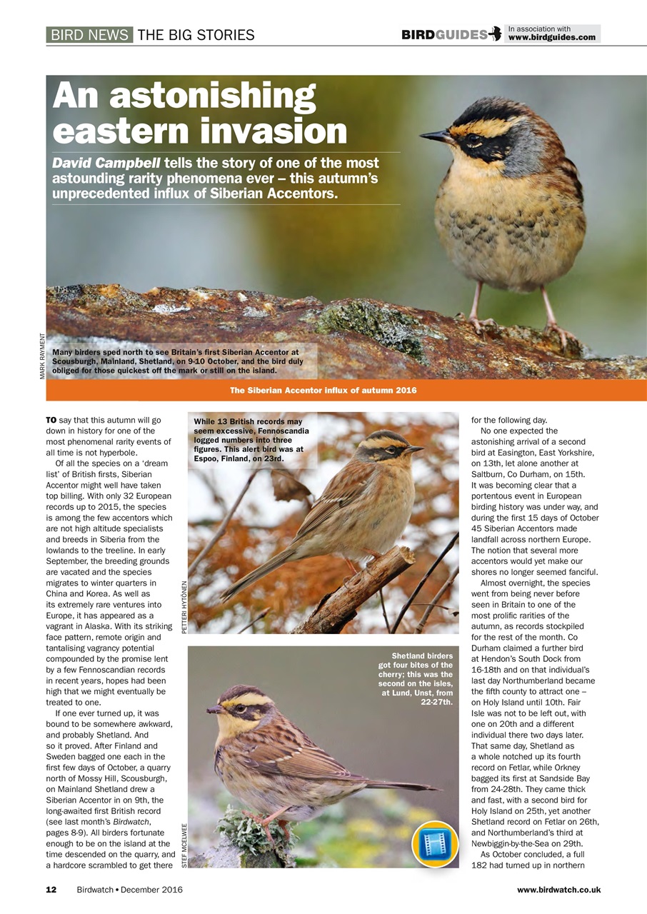 Birdwatch Magazine Preview Pages