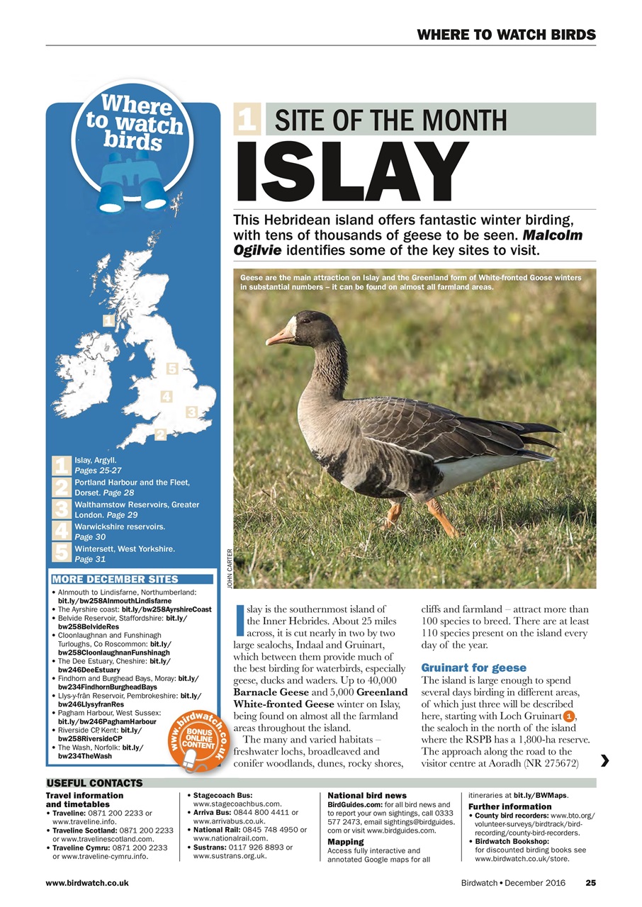 Birdwatch Magazine Preview Pages