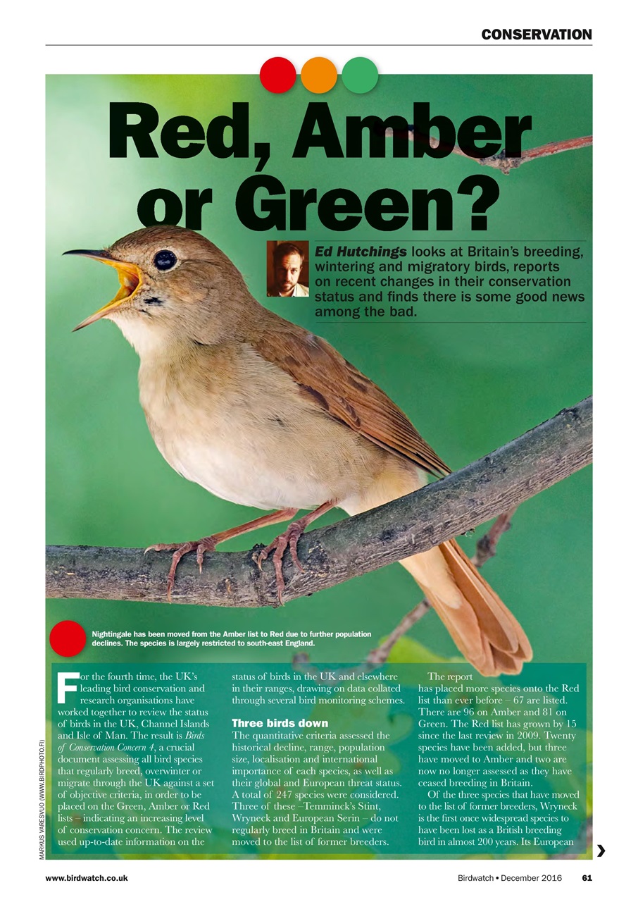 Birdwatch Magazine Preview Pages
