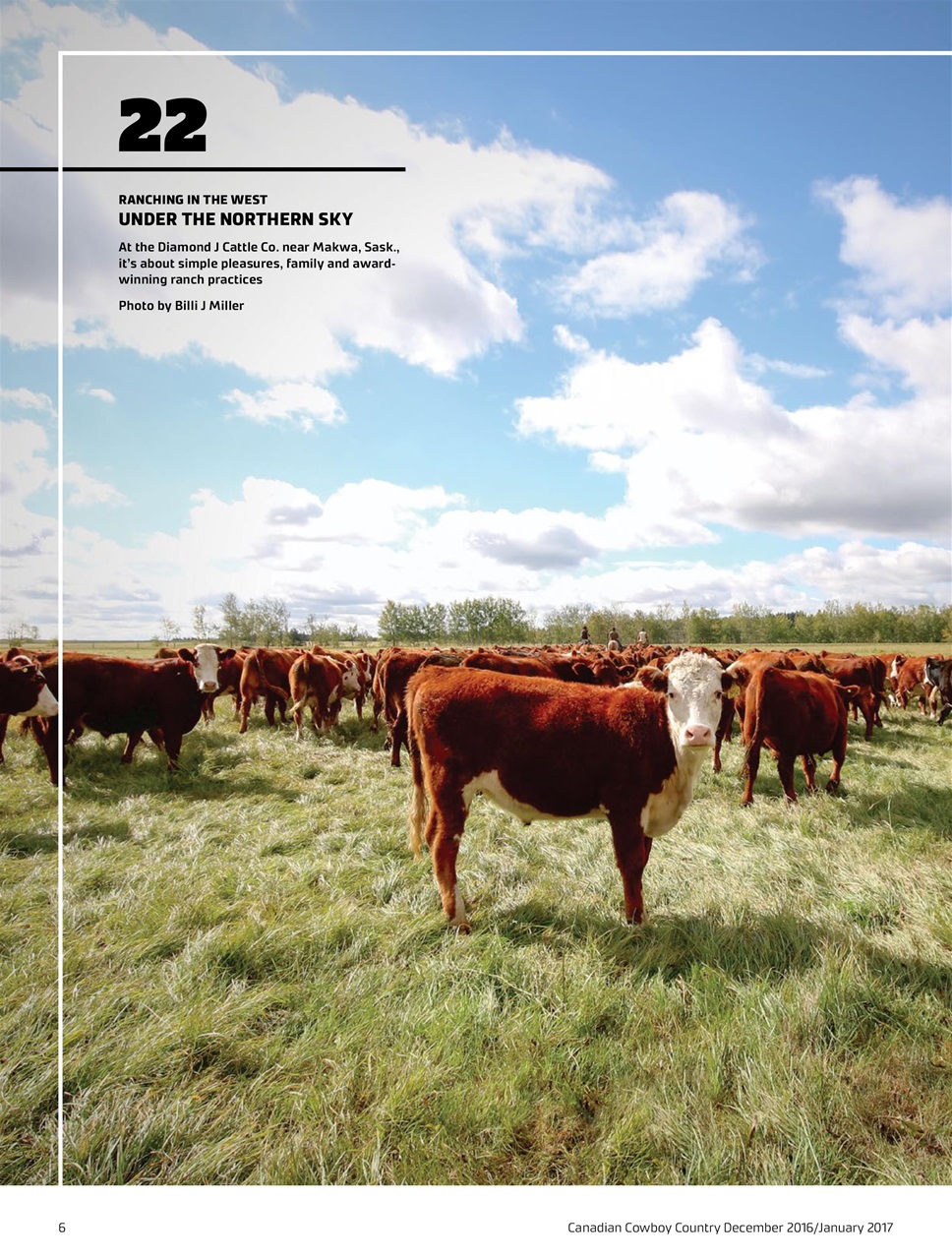 Canadian Cowboy Country Preview Pages