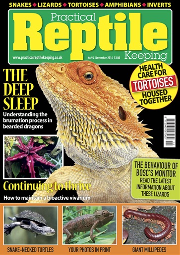 Practical Reptile Keeping issue 