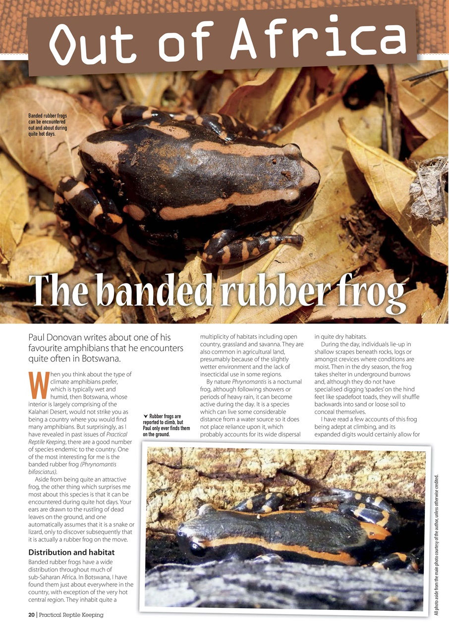 Practical Reptile Keeping Preview Pages