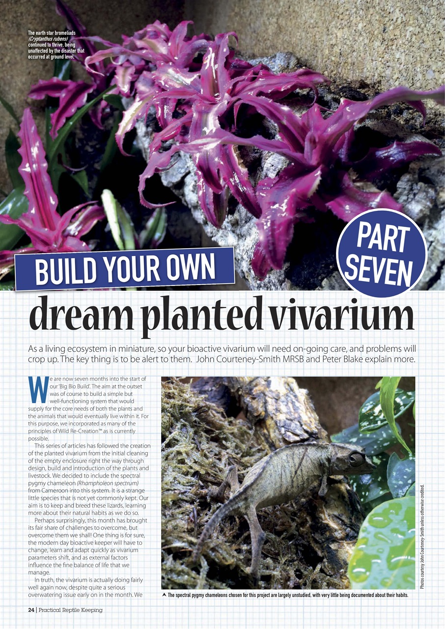 Practical Reptile Keeping Preview Pages