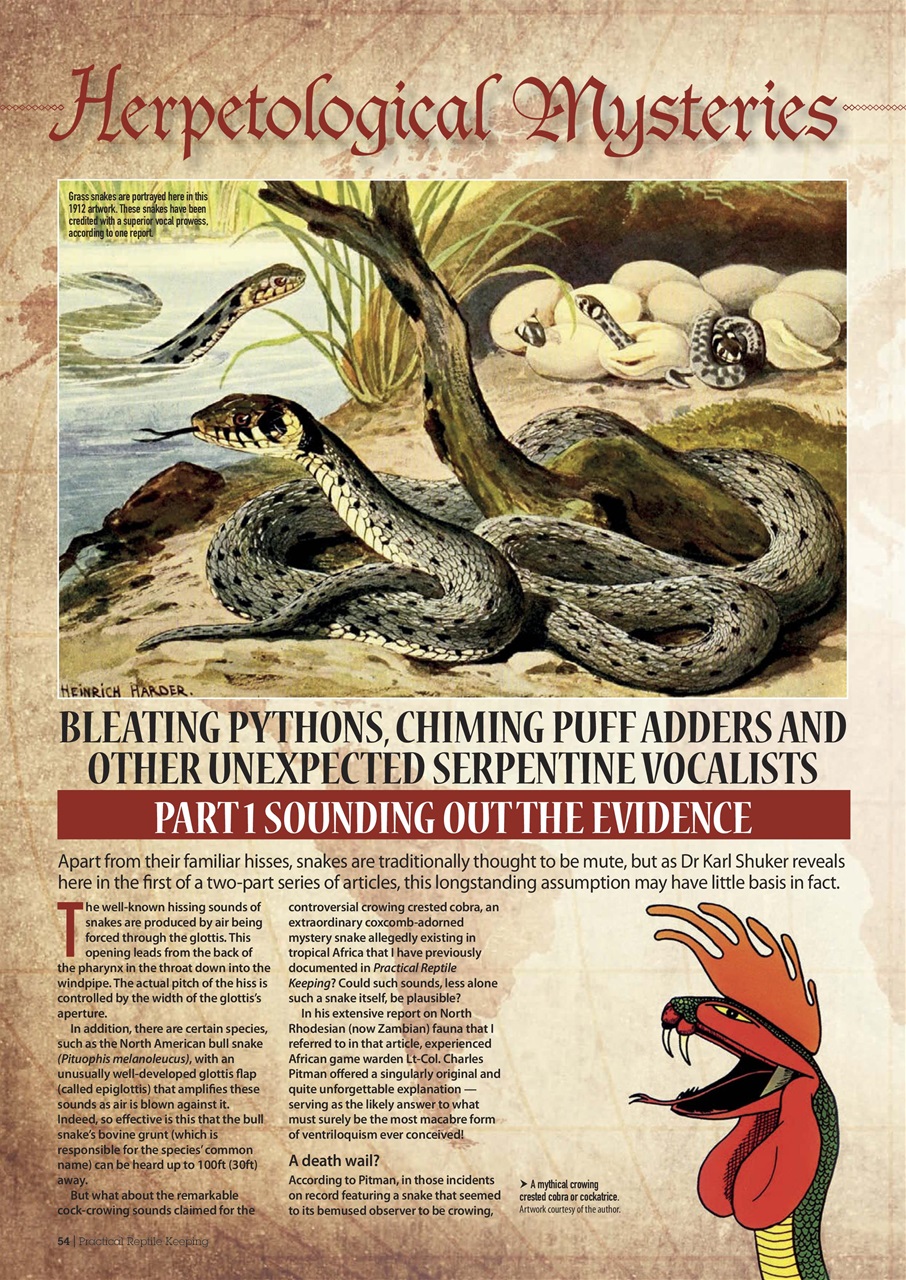 Practical Reptile Keeping Preview Pages