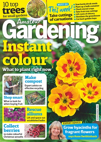 Amateur Gardening issue 26th November 2016