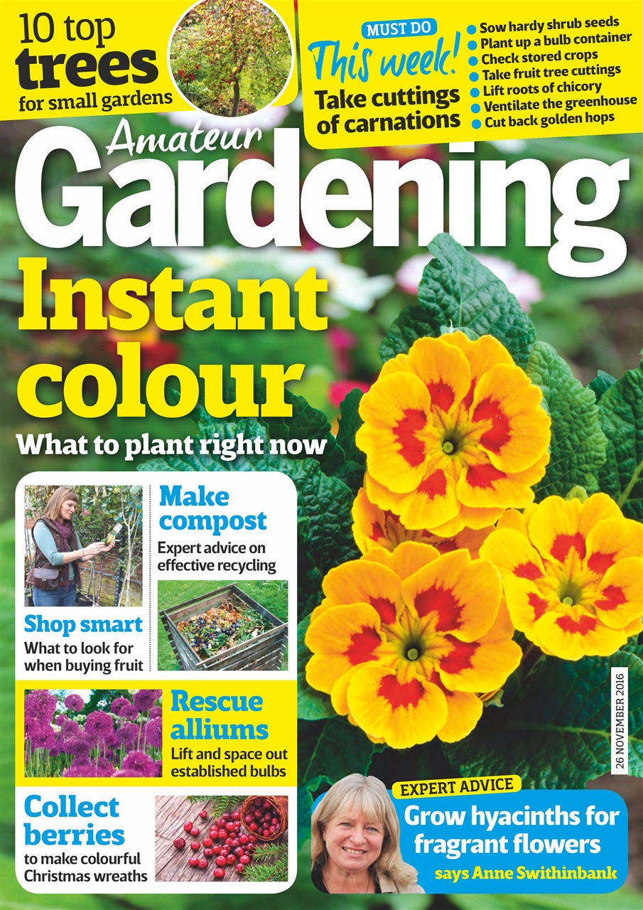 Amateur Gardening Preview Pages
