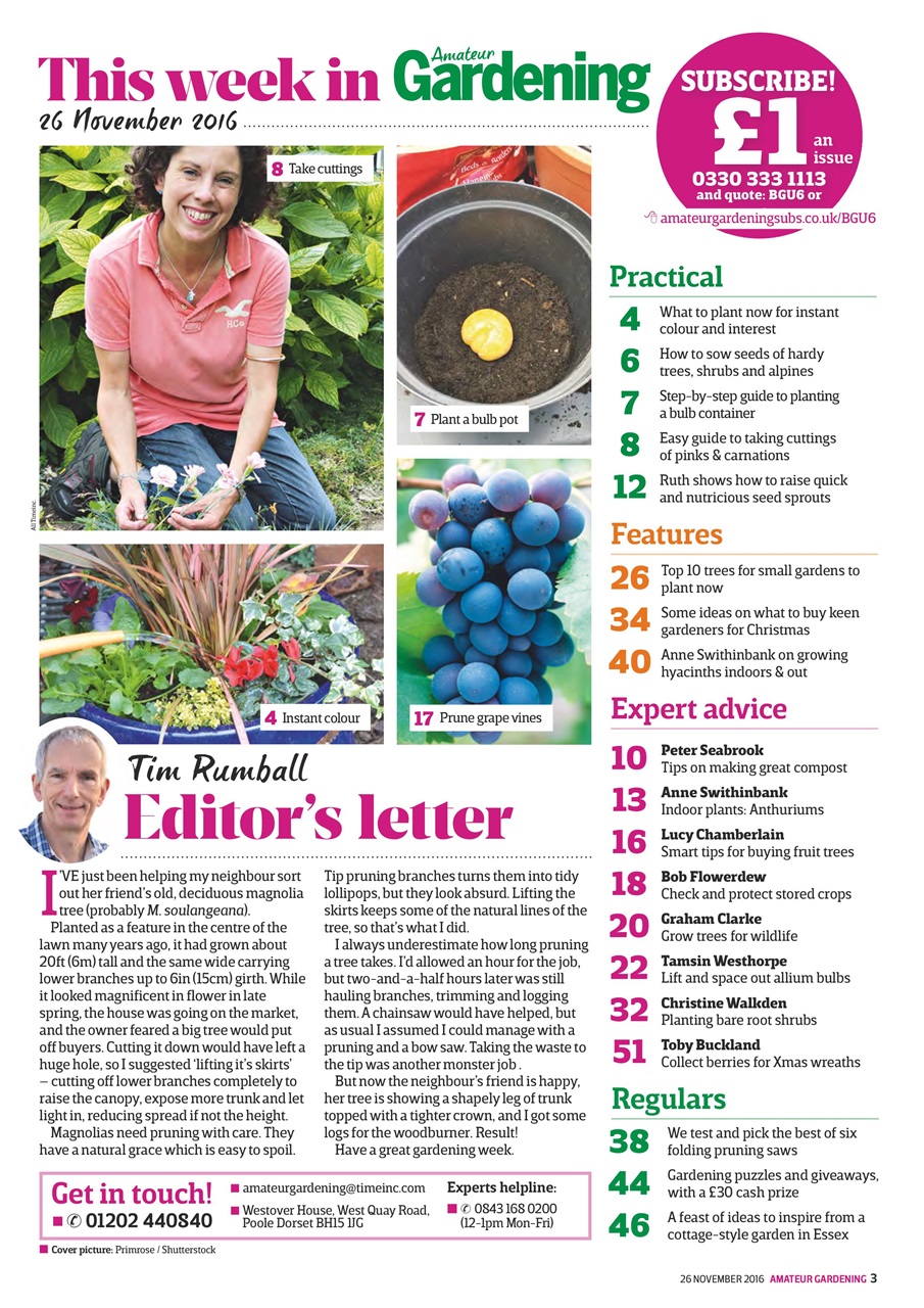 Amateur Gardening Preview Pages