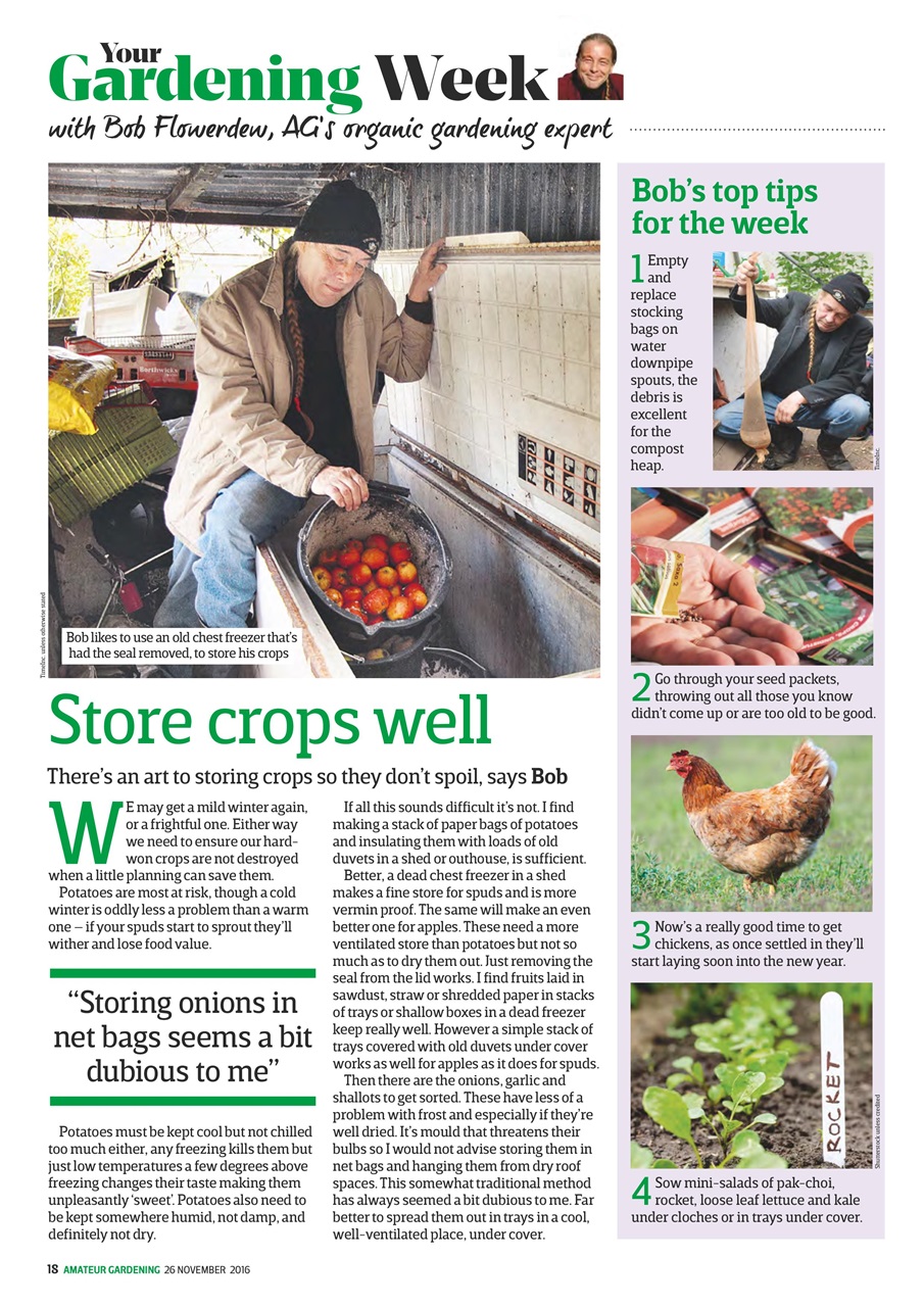 Amateur Gardening Preview Pages