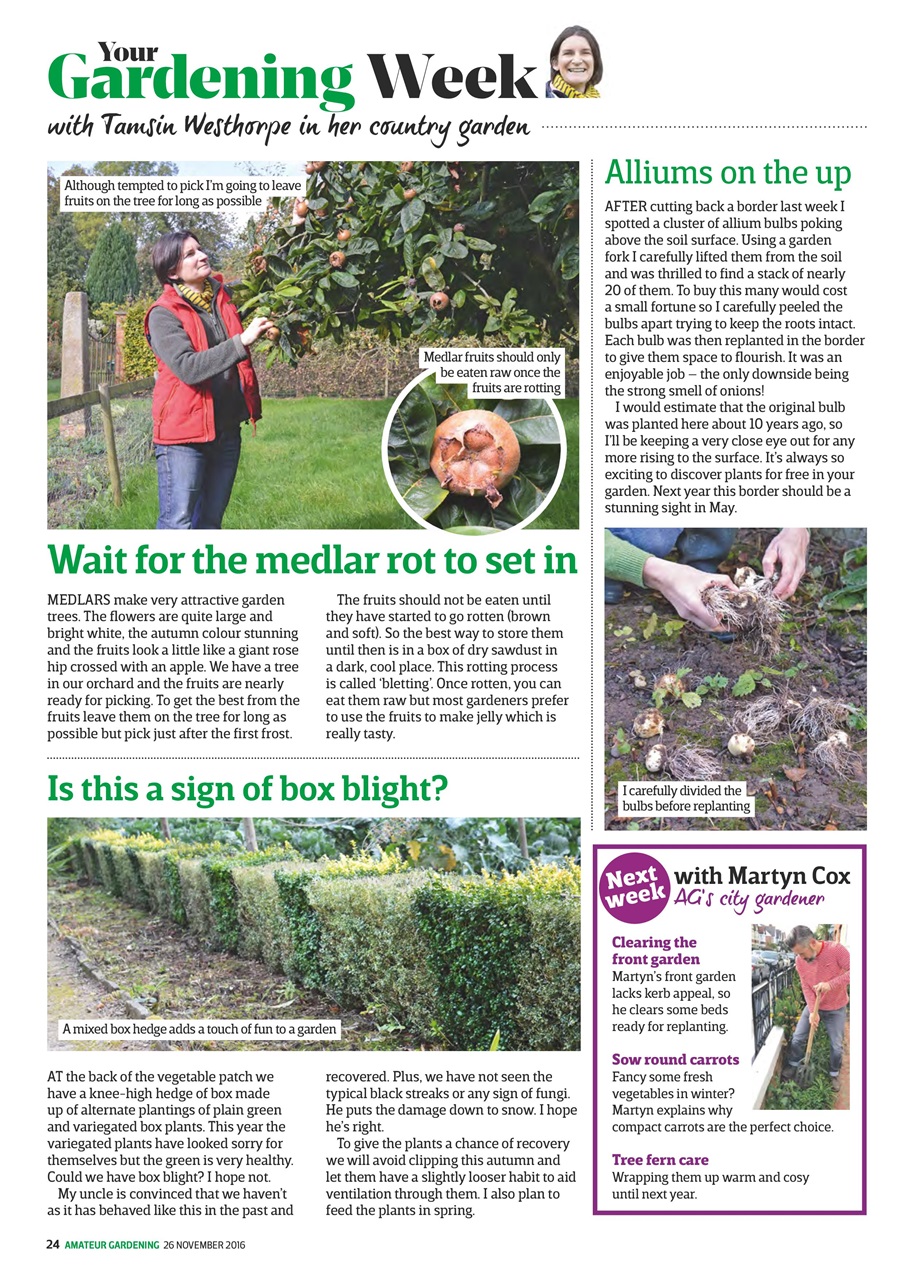 Amateur Gardening Preview Pages