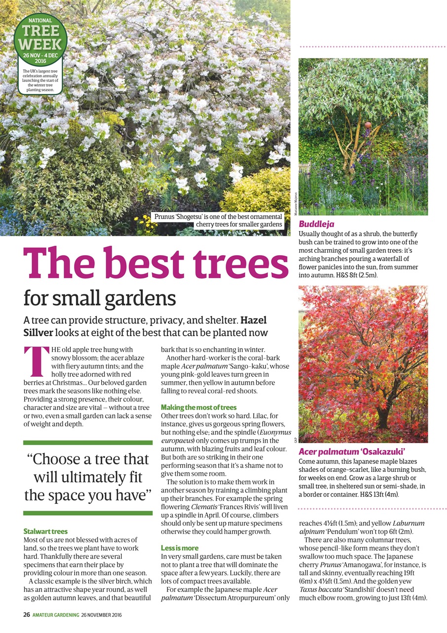 Amateur Gardening Preview Pages