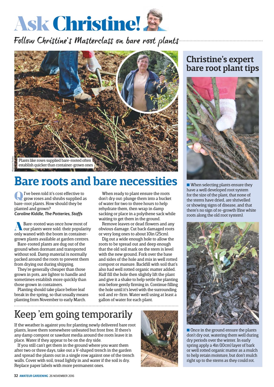 Amateur Gardening Preview Pages