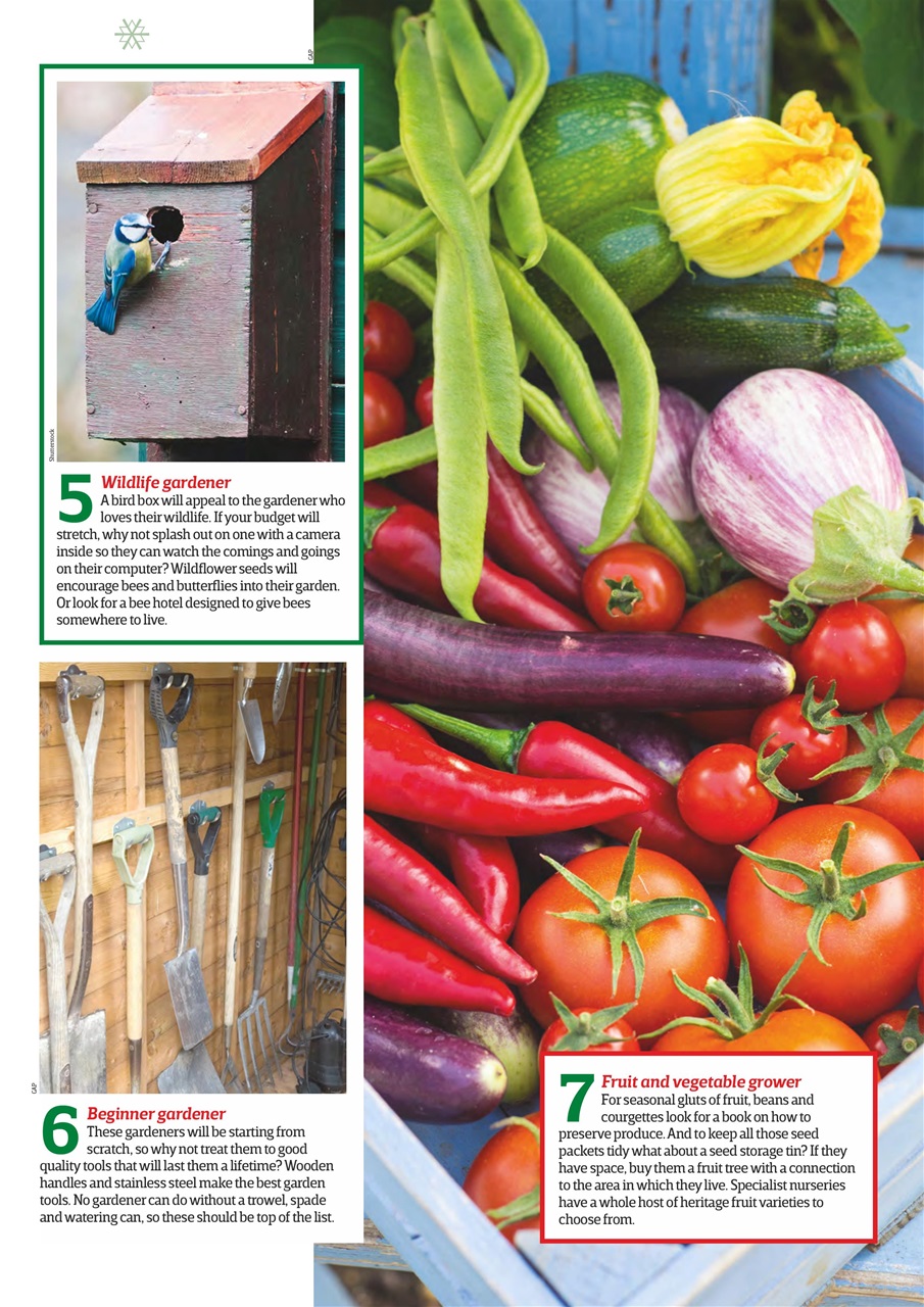 Amateur Gardening Preview Pages