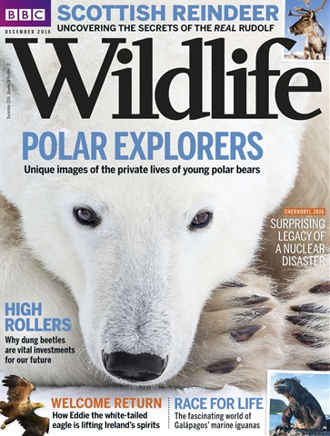BBC Wildlife Magazine issue December 2017