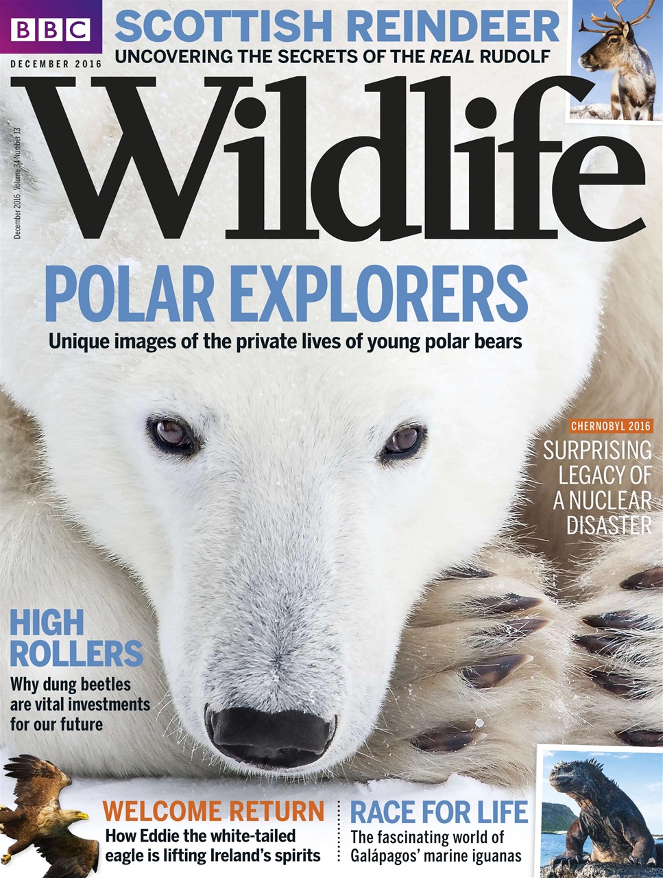 BBC Wildlife Magazine Preview Pages