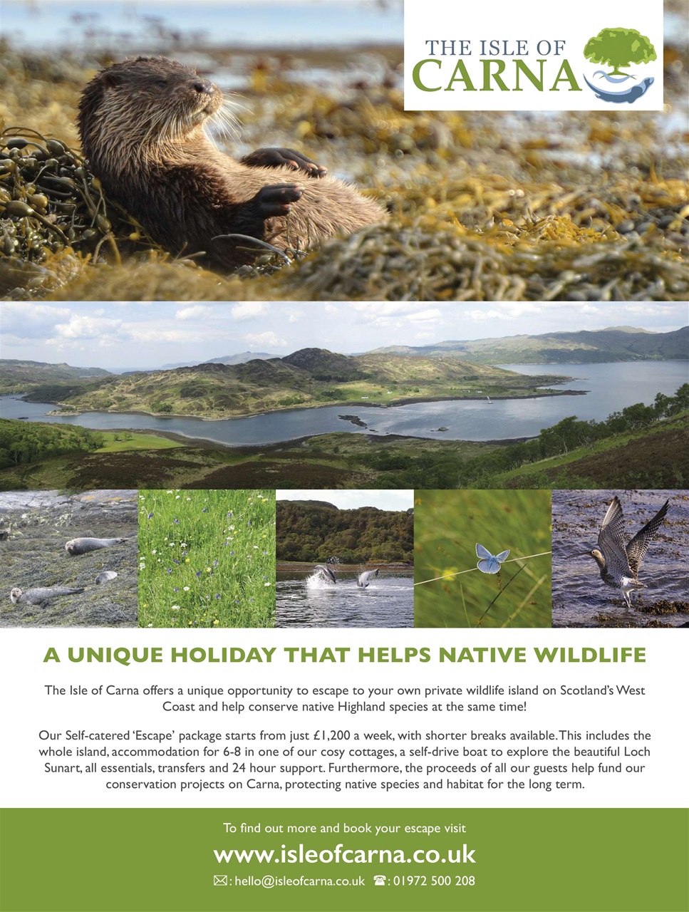 BBC Wildlife Magazine Preview Pages