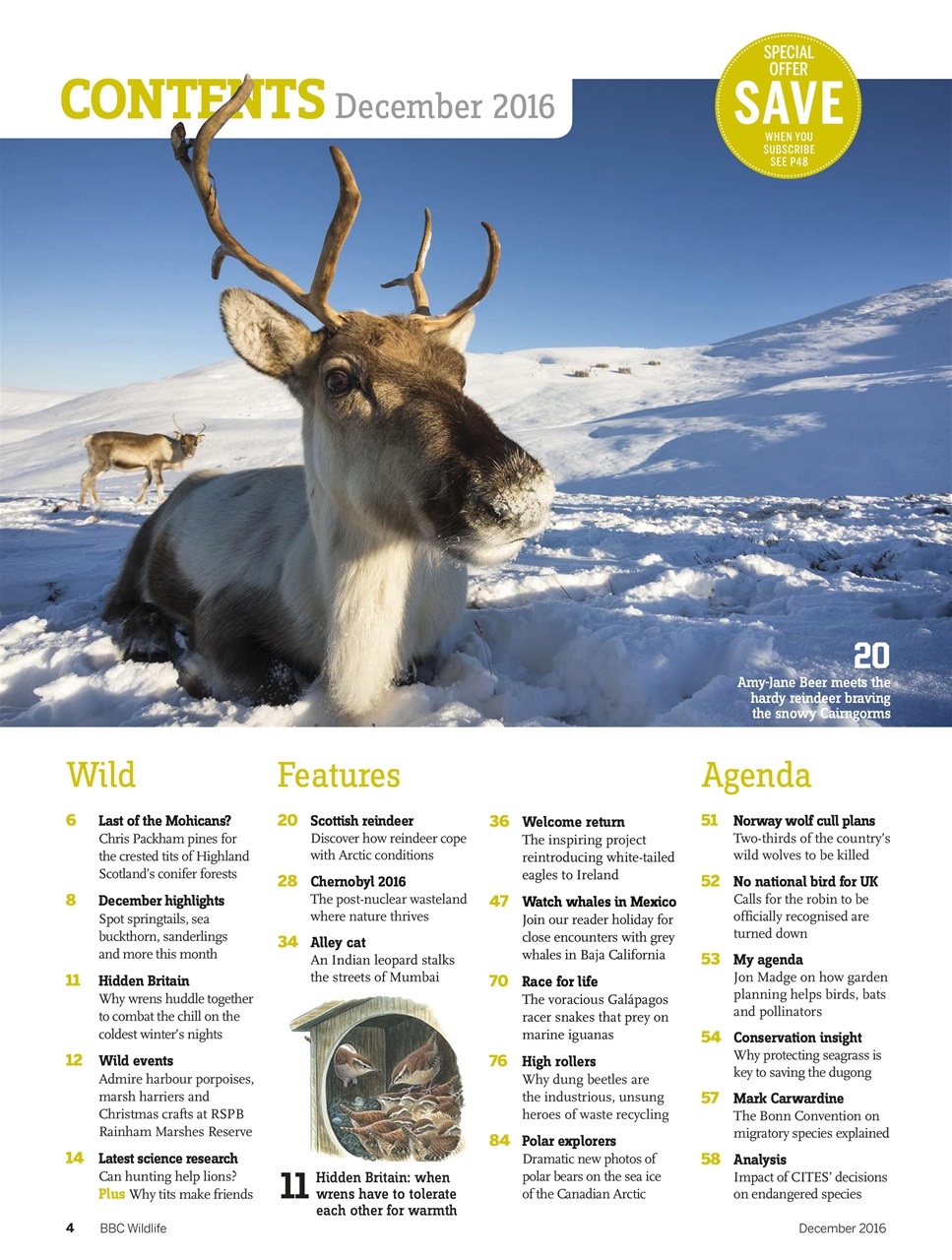 BBC Wildlife Magazine Preview Pages