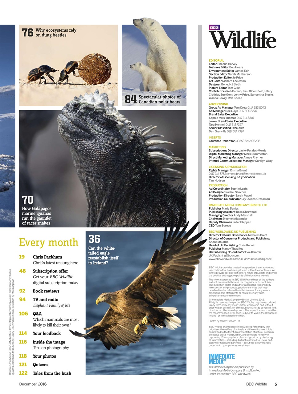 BBC Wildlife Magazine Preview Pages