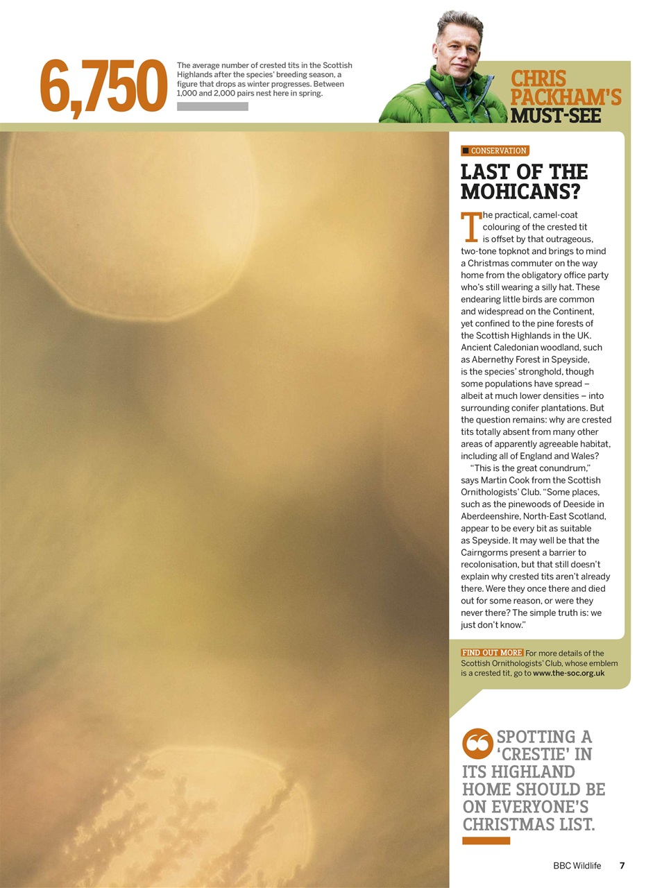 BBC Wildlife Magazine Preview Pages