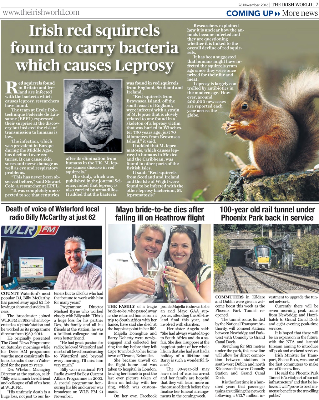 Irish World Preview Pages