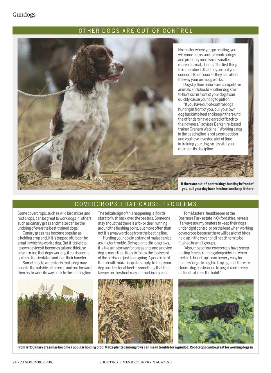 Shooting Times & Country Preview Pages