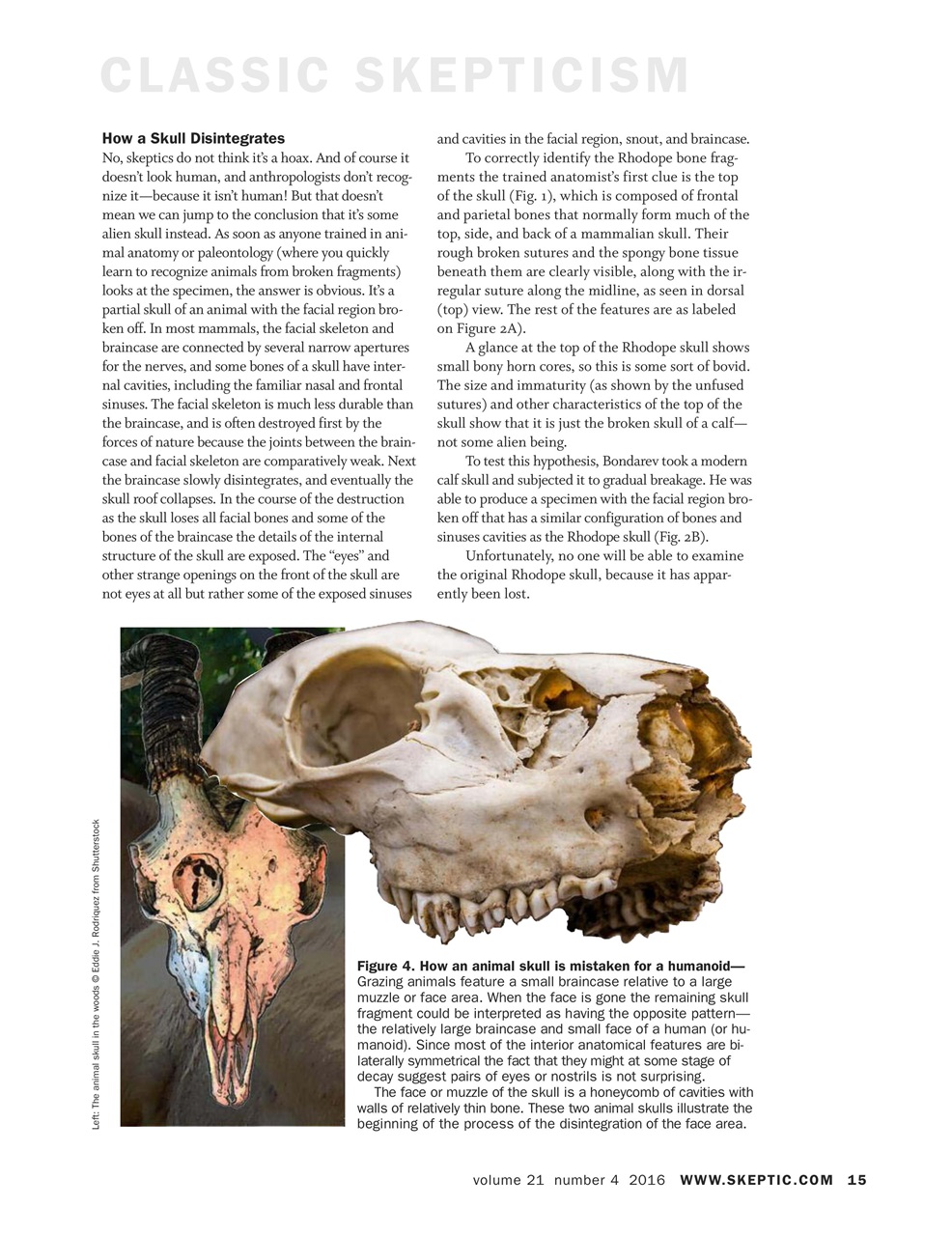 Skeptic Preview Pages