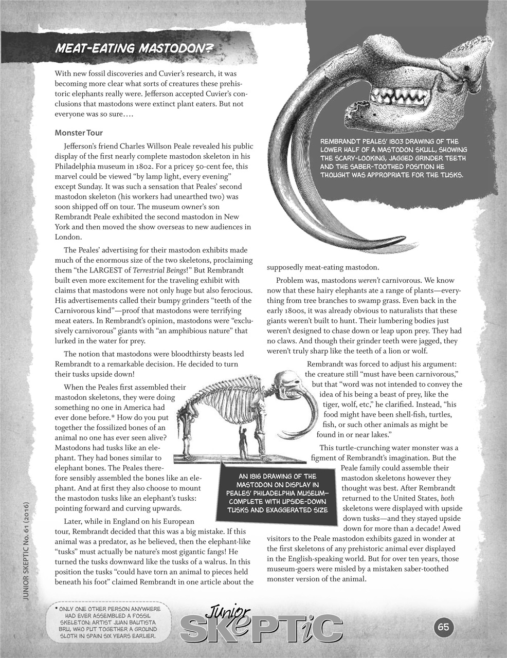 Skeptic Preview Pages