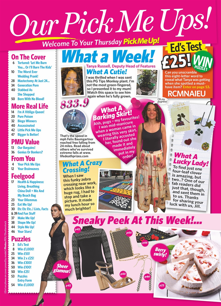 Pick Me Up Preview Pages