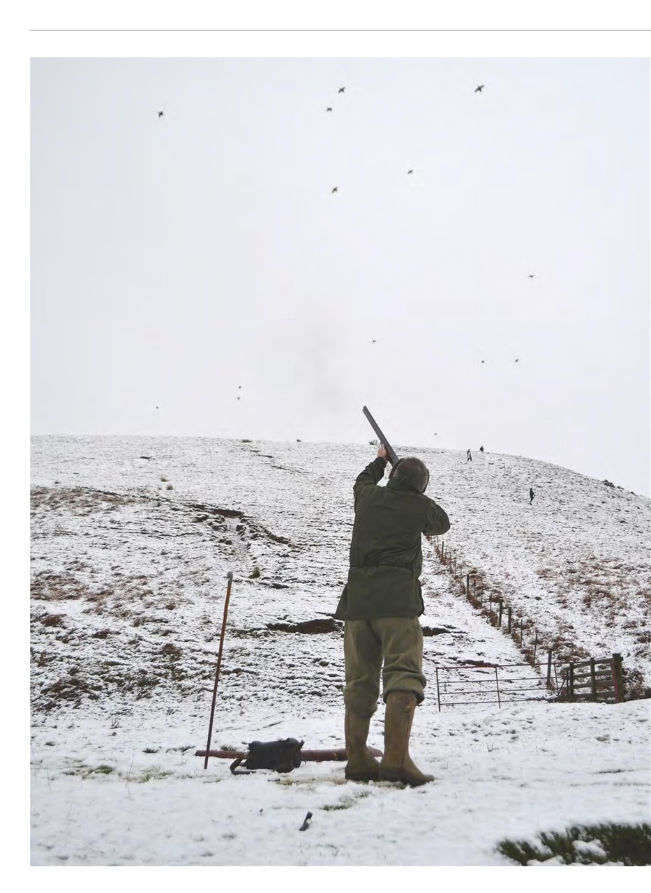 Shooting Gazette Preview Pages