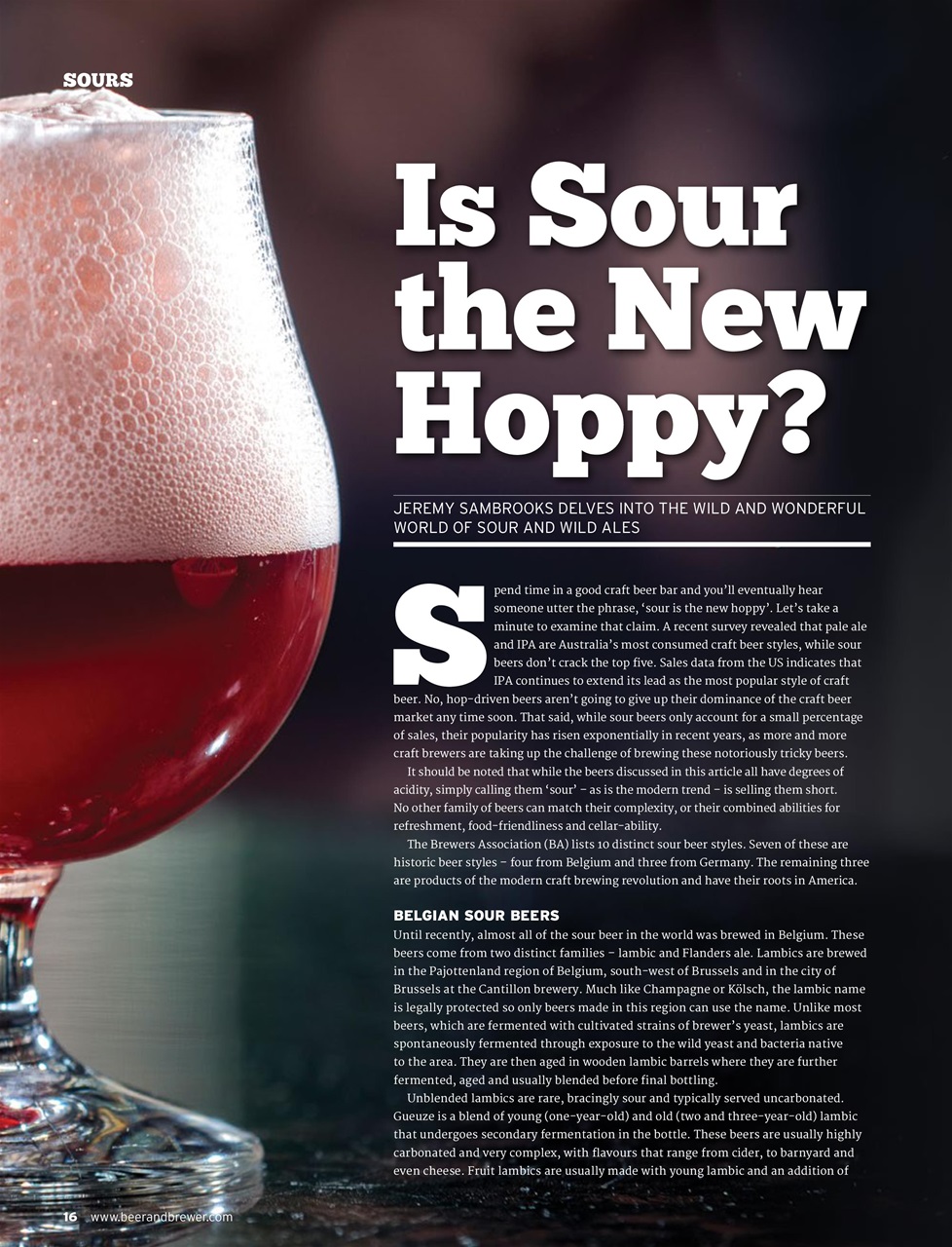 Beer and Brewer Preview Pages