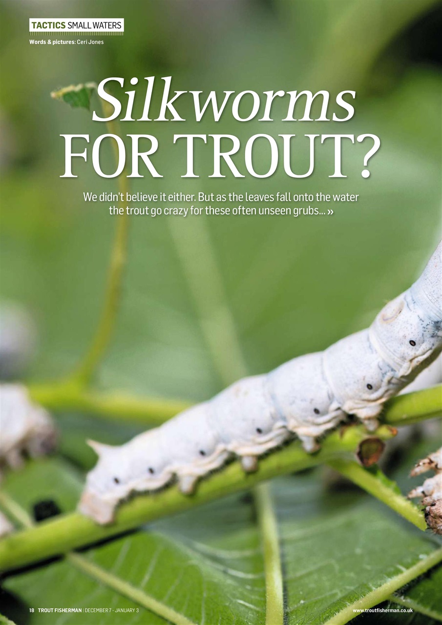 Trout Fisherman Preview Pages