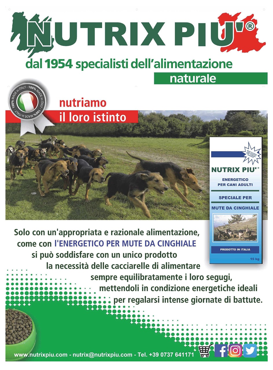 La Gazzetta Della Cinofilia Venatoria Preview Pages