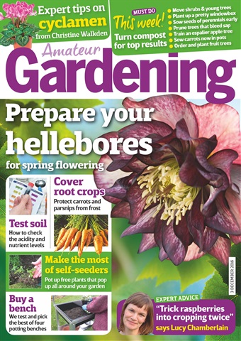 Amateur Gardening issue 3rd December 2016