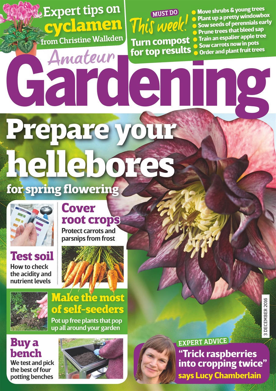 Amateur Gardening Preview Pages