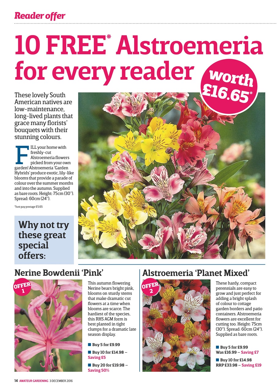 Amateur Gardening Preview Pages