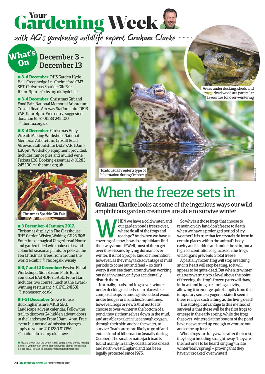 Amateur Gardening Preview Pages