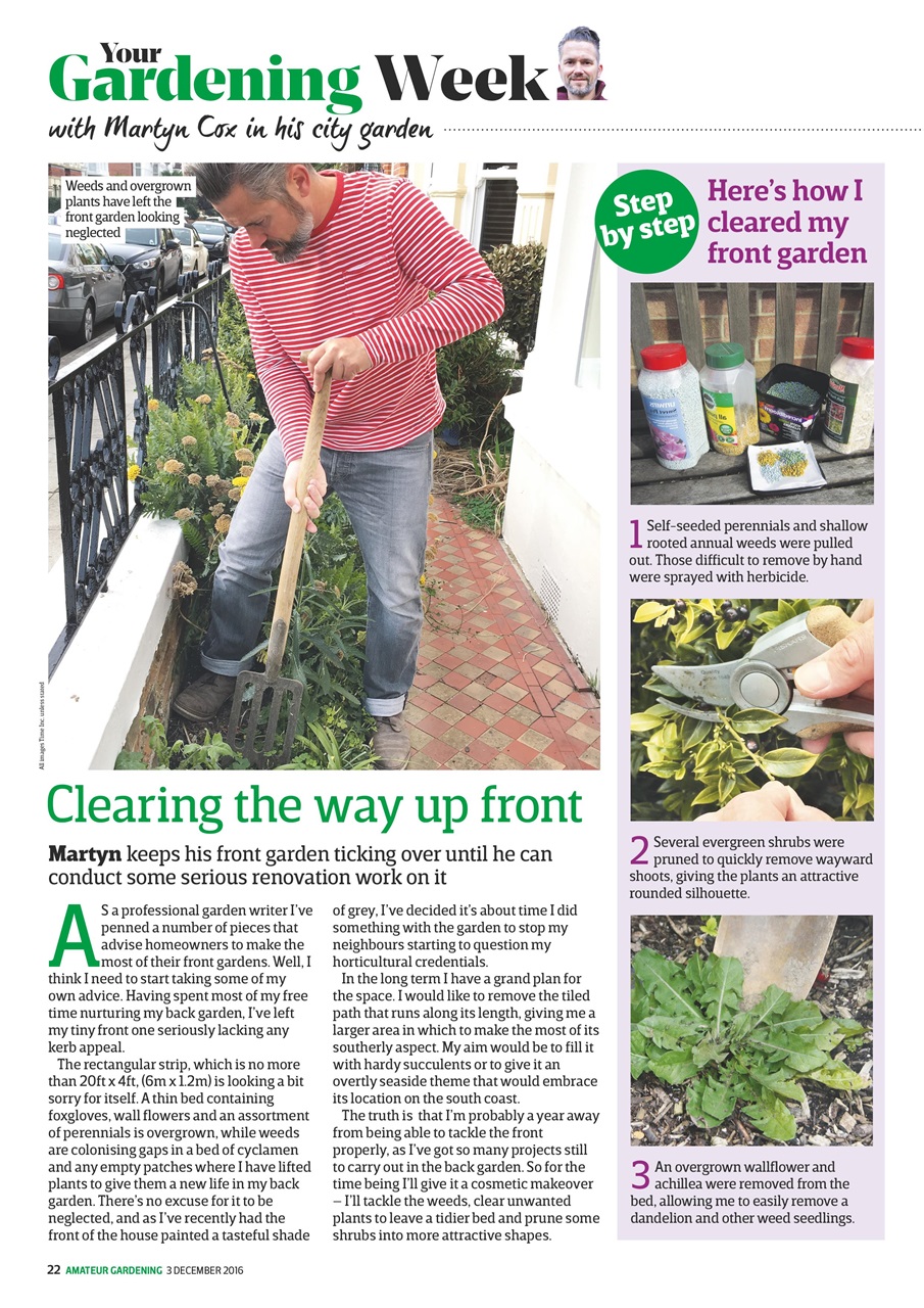 Amateur Gardening Preview Pages