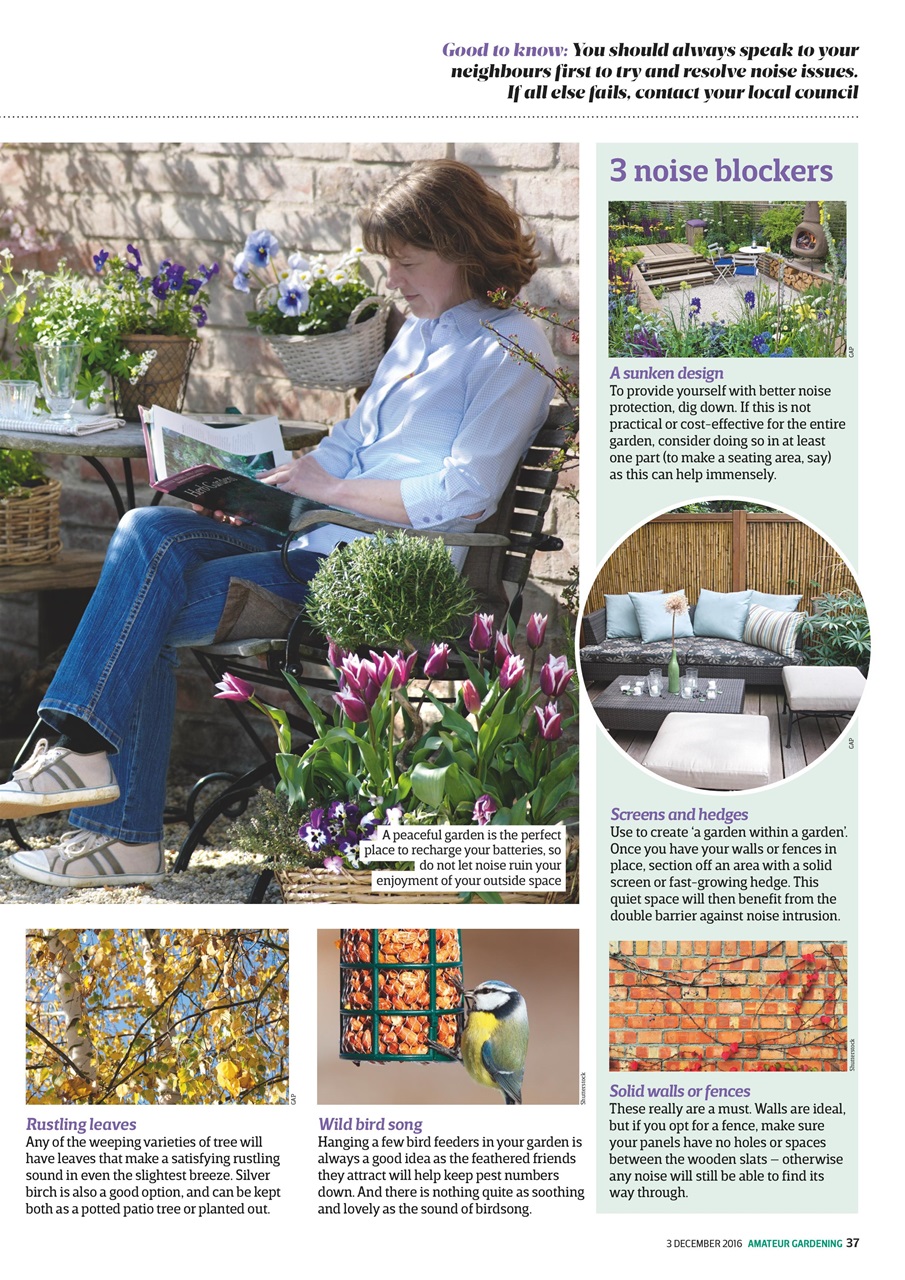 Amateur Gardening Preview Pages