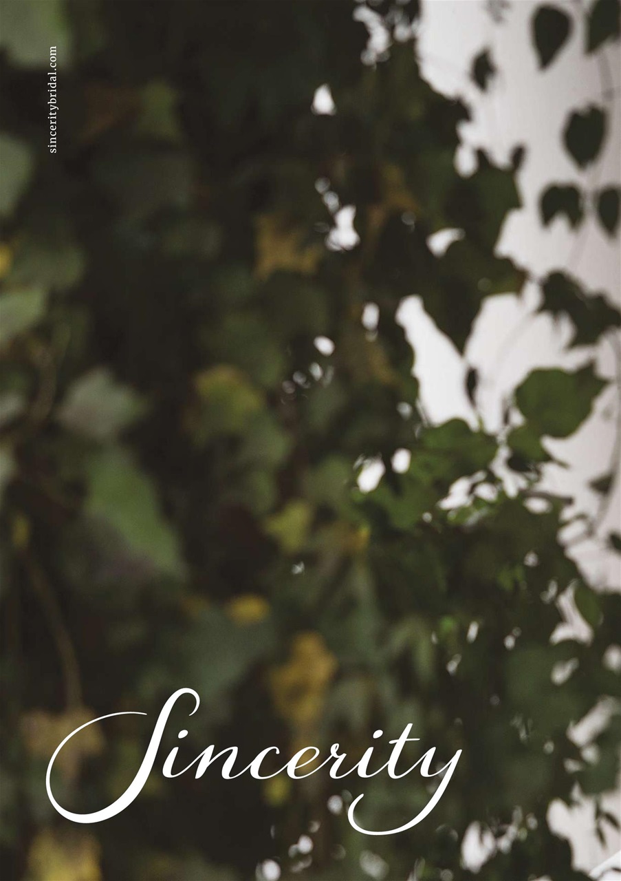 Perfect Wedding Preview Pages