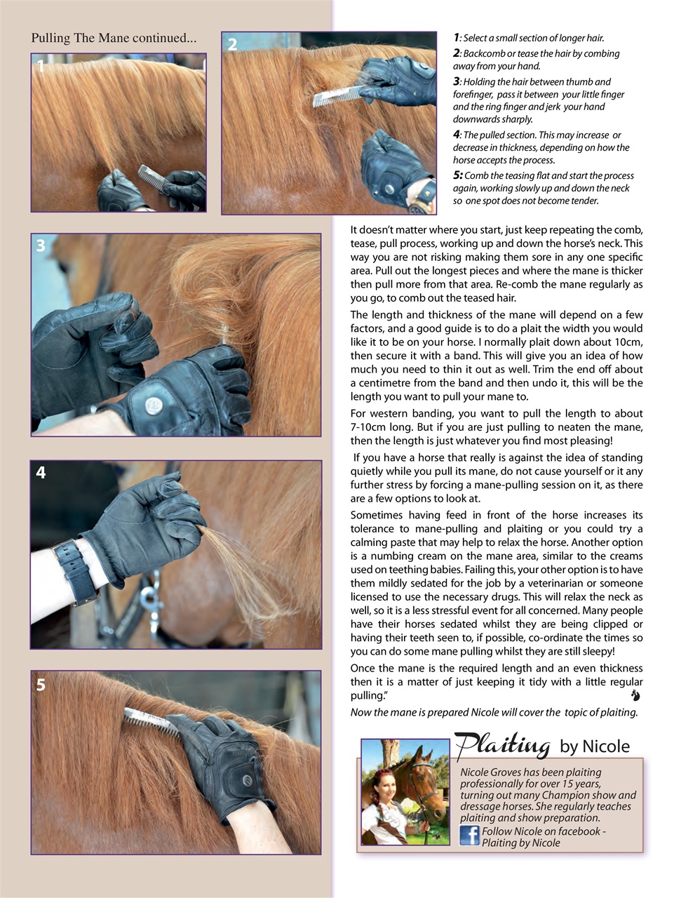 Hoofbeats Preview Pages