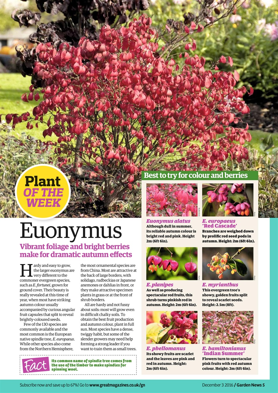 Garden News Preview Pages