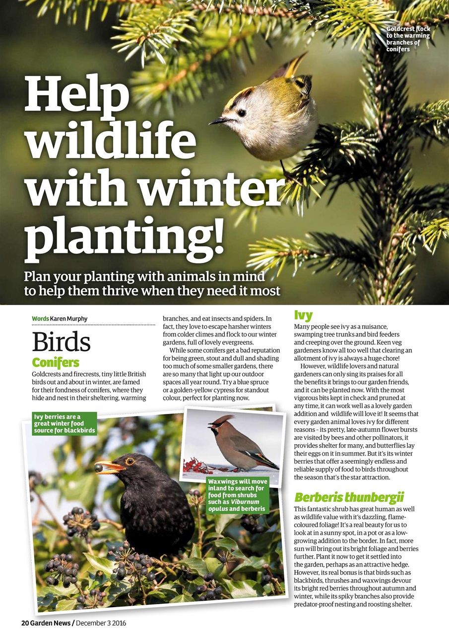 Garden News Preview Pages
