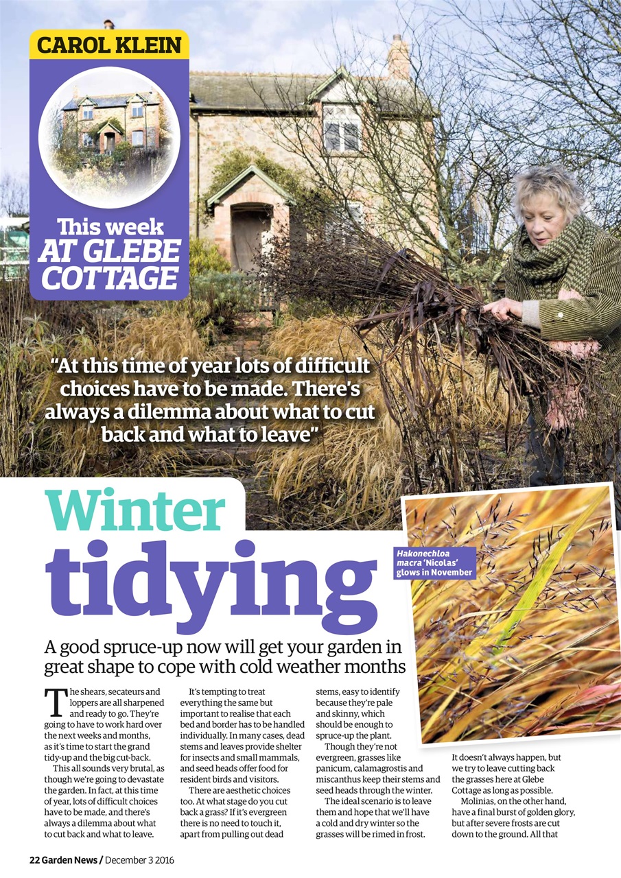 Garden News Preview Pages